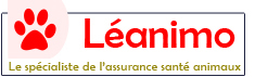 leanimo