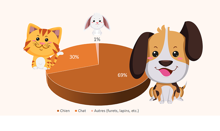 Le chien, animal de compagnie le plus assuré