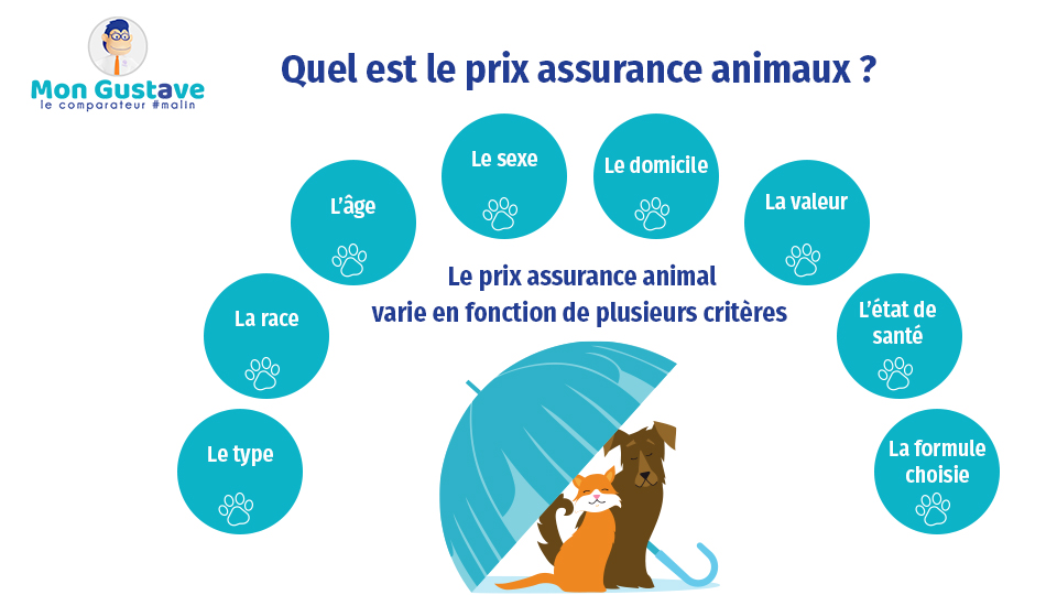 prix assurance animal, prix assurance animaux, tarif assurance animaux