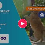 Kozoo partenaire de Mon Gustave