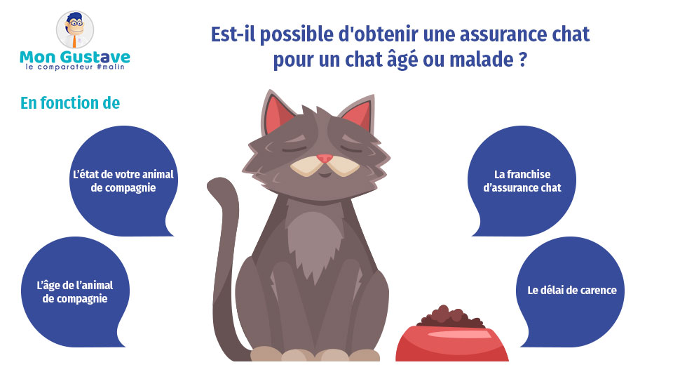 Est-il possible d'obtenir une assurance chat pour un chat âgé ou malade ?