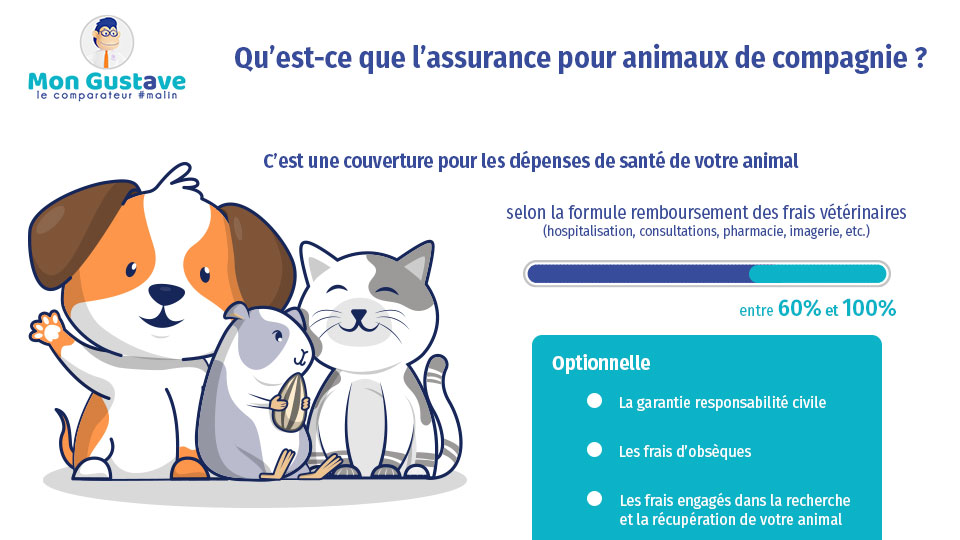 Qu'est-ce que l'assurance pour animaux de compagnie ? Qu'est-ce qui est couvert par la police d'assurance ? Qu'est-ce qui est inclus dans le plan ?