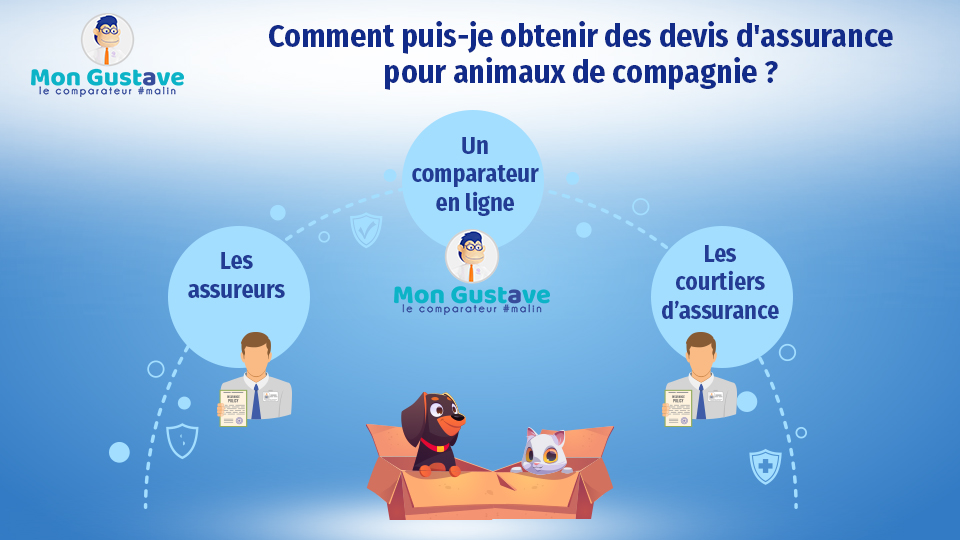 Comment puis-je obtenir des devis d'assurance pour animaux de compagnie ? Couvre-t-il mon animal à vie ?