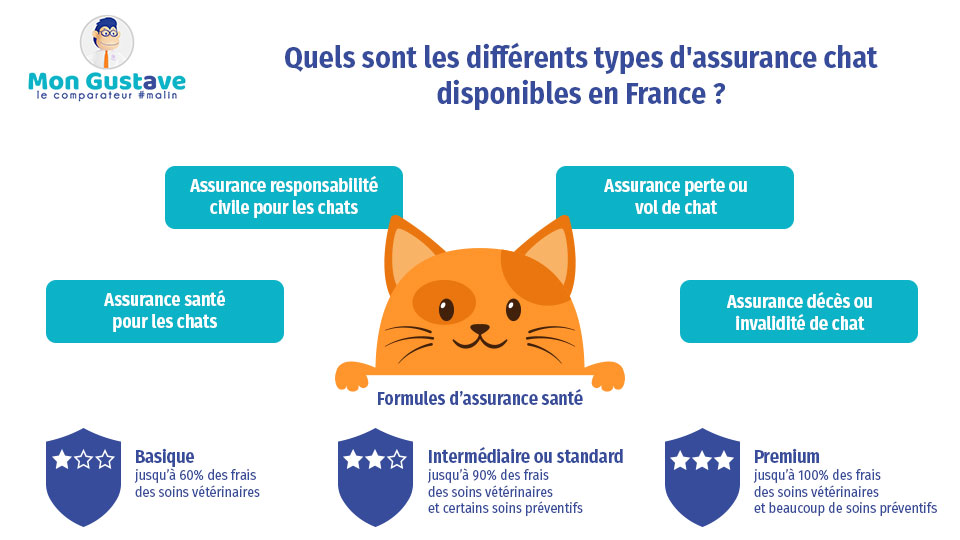 Quels sont les différents types d'assurance chat disponibles en France ?

