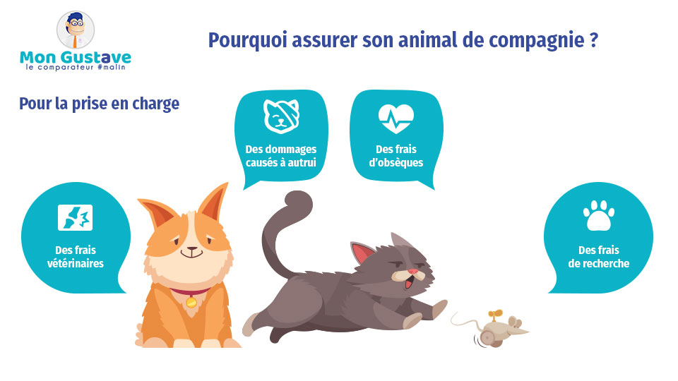 Assurer son animal de compagnie offre une protection financière en cas de maladies ou d'incidents imprévus, ainsi qu'une couverture pour les responsabilités civiles et les frais d'obsèques. Protégez donc votre animal et votre portefeuille en souscrivant à l’assurance animaux avec Mon Gustave !