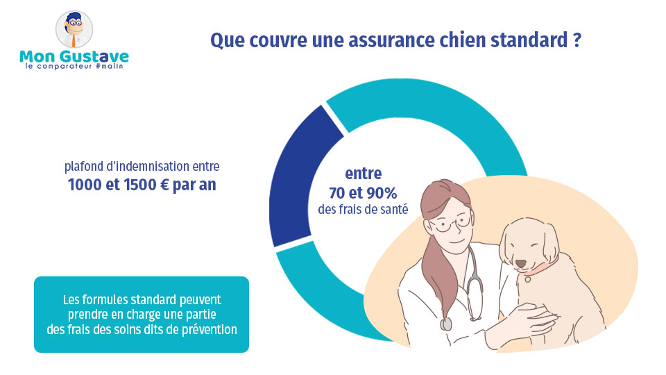 Que couvre une assurance chien standard ?