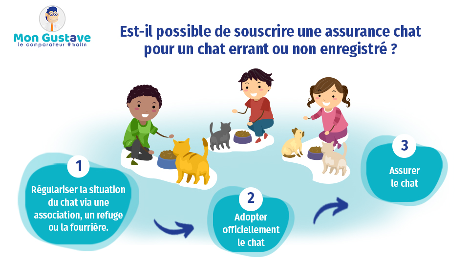 Est-il possible de souscrire une assurance chat pour un chat errant ou non enregistré ?