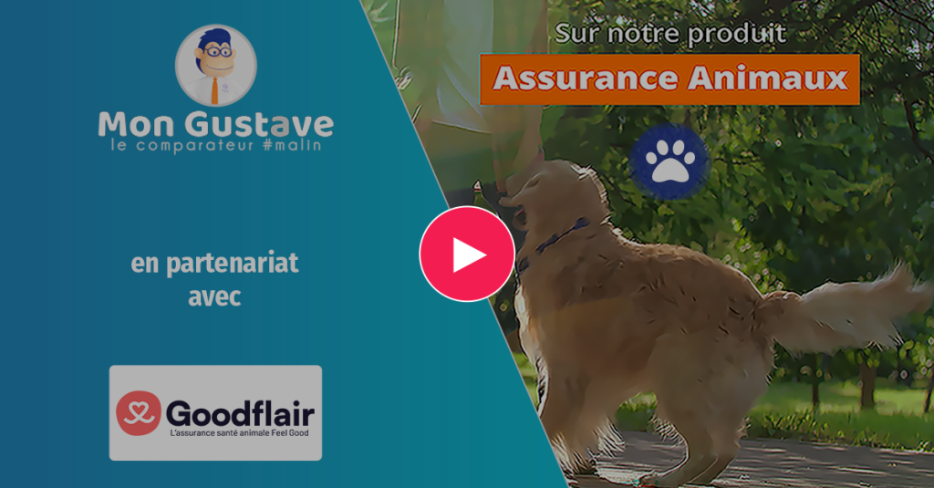 Goodflair intègre le comparateur Mon Gustave sur son panel animaux