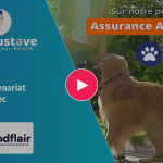 Goodflair intègre le comparateur Mon Gustave sur son panel animaux