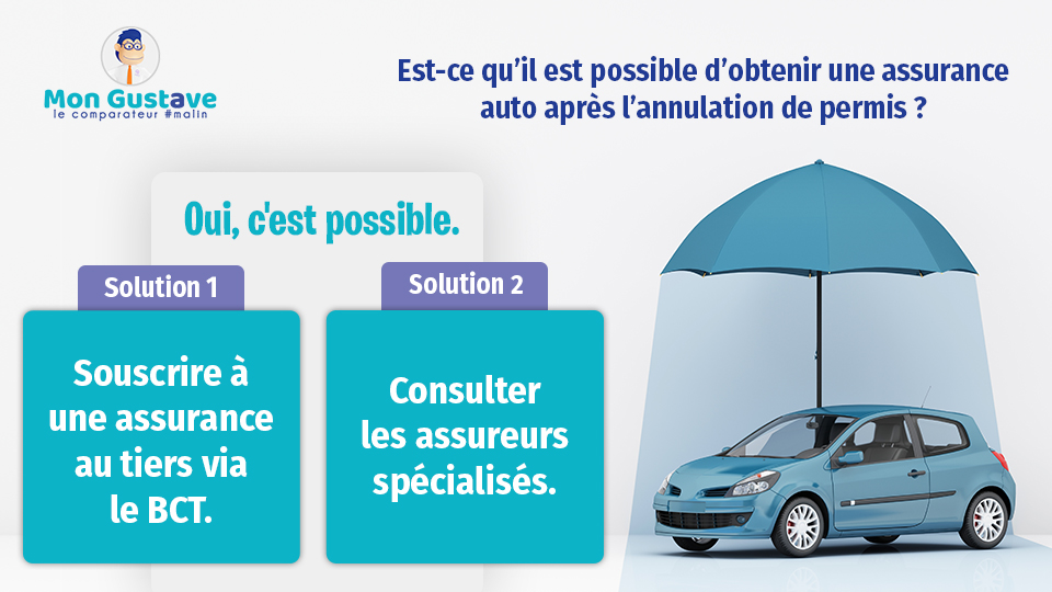 assurance annulation permis de conduire