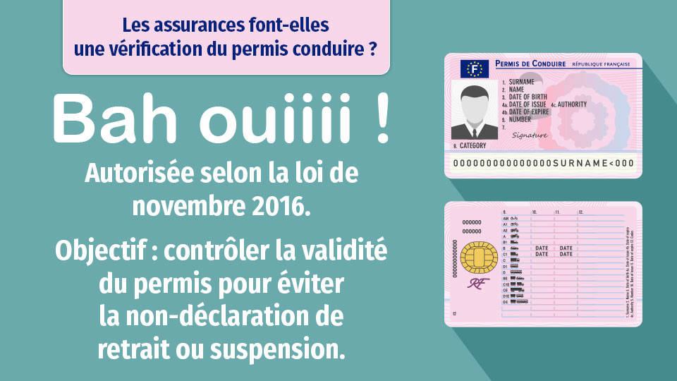 assurance vérification permis