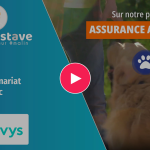 Lovys intègre le comparateur Mon Gustave sur son panel animaux