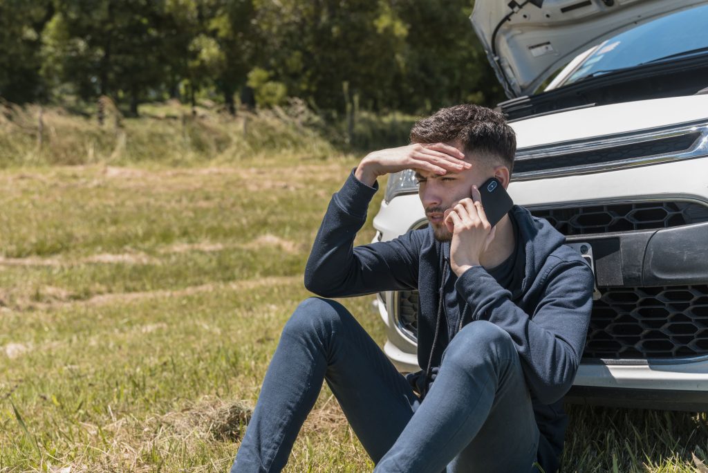 Accident avec un animal sauvage : êtes-vous couvert par votre assurance auto ?