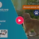 Fidel'amisanté intègre le comparateur Mon Gustave sur son panel animaux