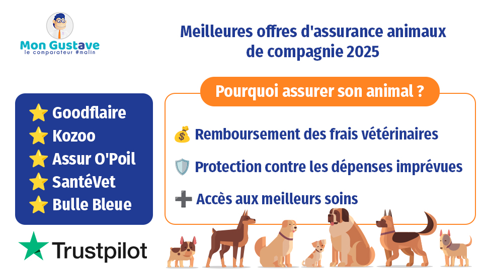 Pourquoi mon assurance habitation augmente tous les ans ? assurance animaux