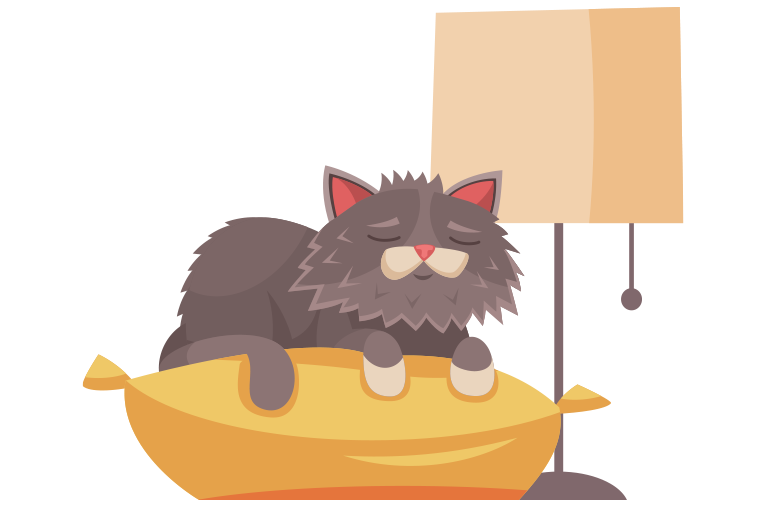 chat âgé