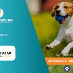 Mon Gustave s'associe avec Solly Azar pour l'assurance animaux