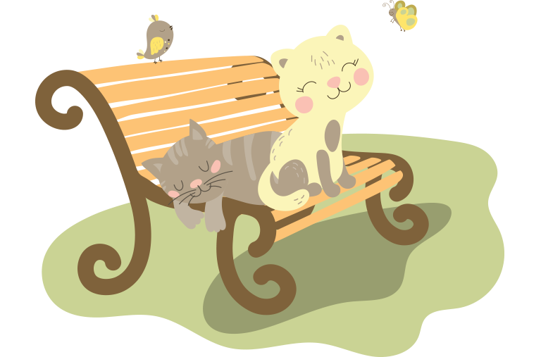 chat d'extérieur