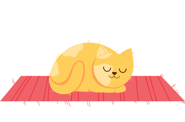 chat d'intérieur