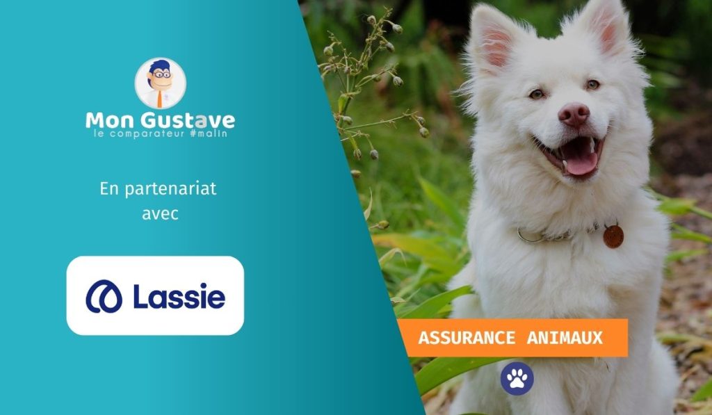 Mon Gustave s’associe avec Lassie Assurance pour l’assurance animaux