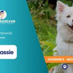 Mon Gustave s’associe avec Lassie Assurance pour l’assurance animaux