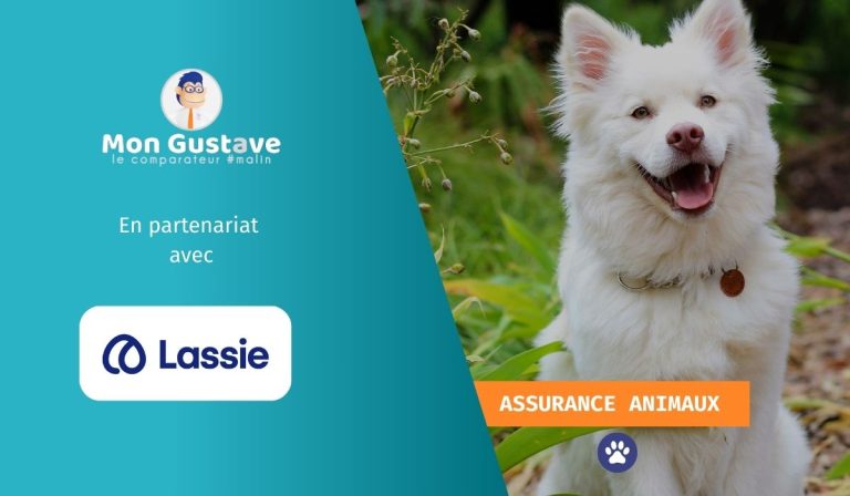 Mon Gustave s’associe avec Lassie Assurance pour l’assurance animaux