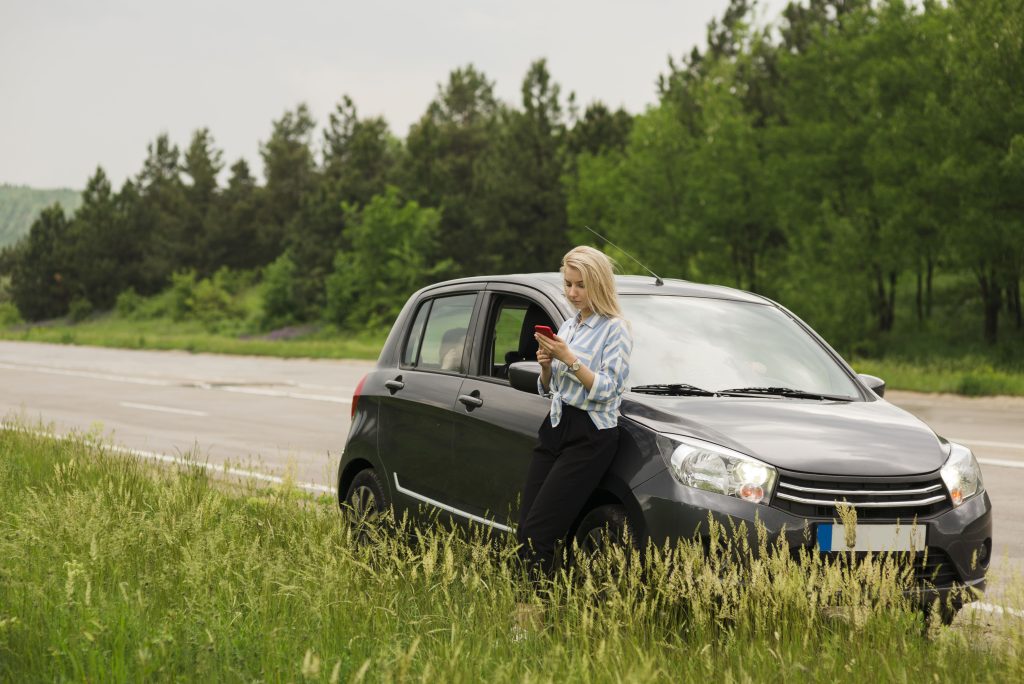 plaque immatriculation rose